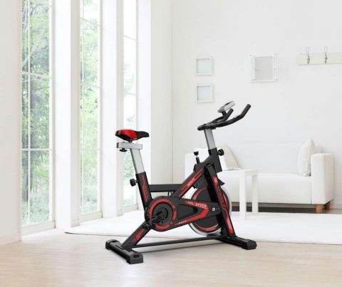 Indoor Exercise Fitness Spin Bike