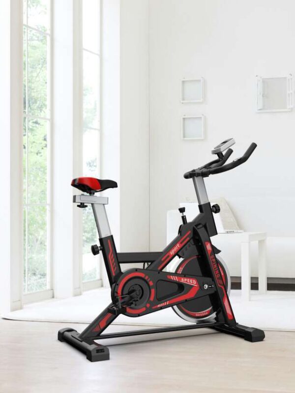 Indoor Exercise Fitness Spin Bike